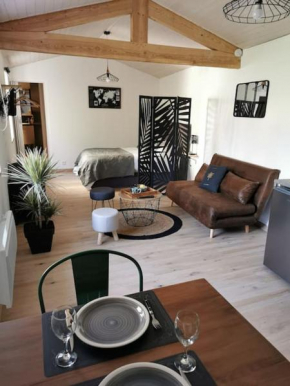 Chaleureux Studio de 35m2 totalement indépendant